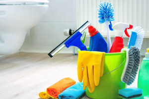 Messie Reinigung Bünde