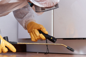 Messie Schädlingsbekämpfung Bünde